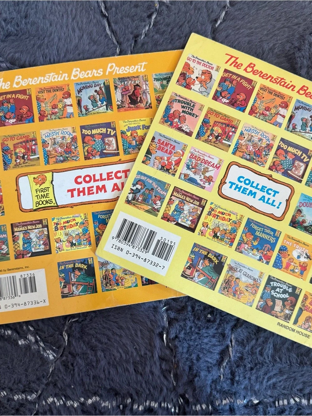 1980s The Berenstain Bears Book Pair Vintage Kid’s Paperback